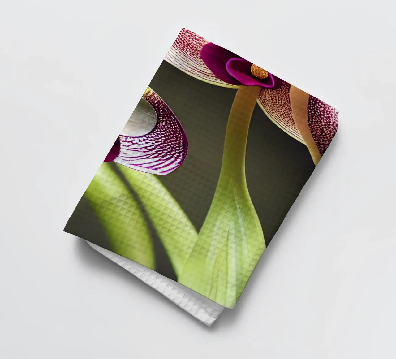 Fleur d'orchidée Macro Ladys Slipper torchon de Bold Blooms