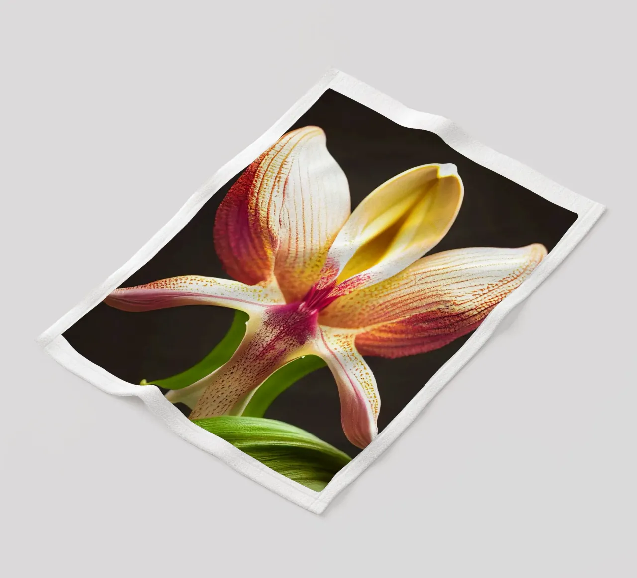 Macro fiore di orchidea Ladys Slipper coperta in pile da Bold Blooms