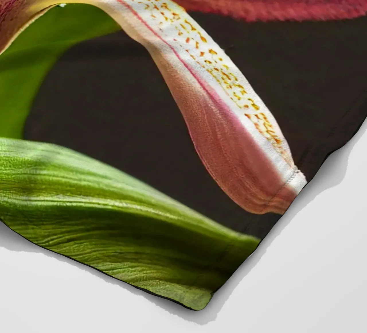 Macro fiore di orchidea Ladys Slipper coperta in pile da Bold Blooms