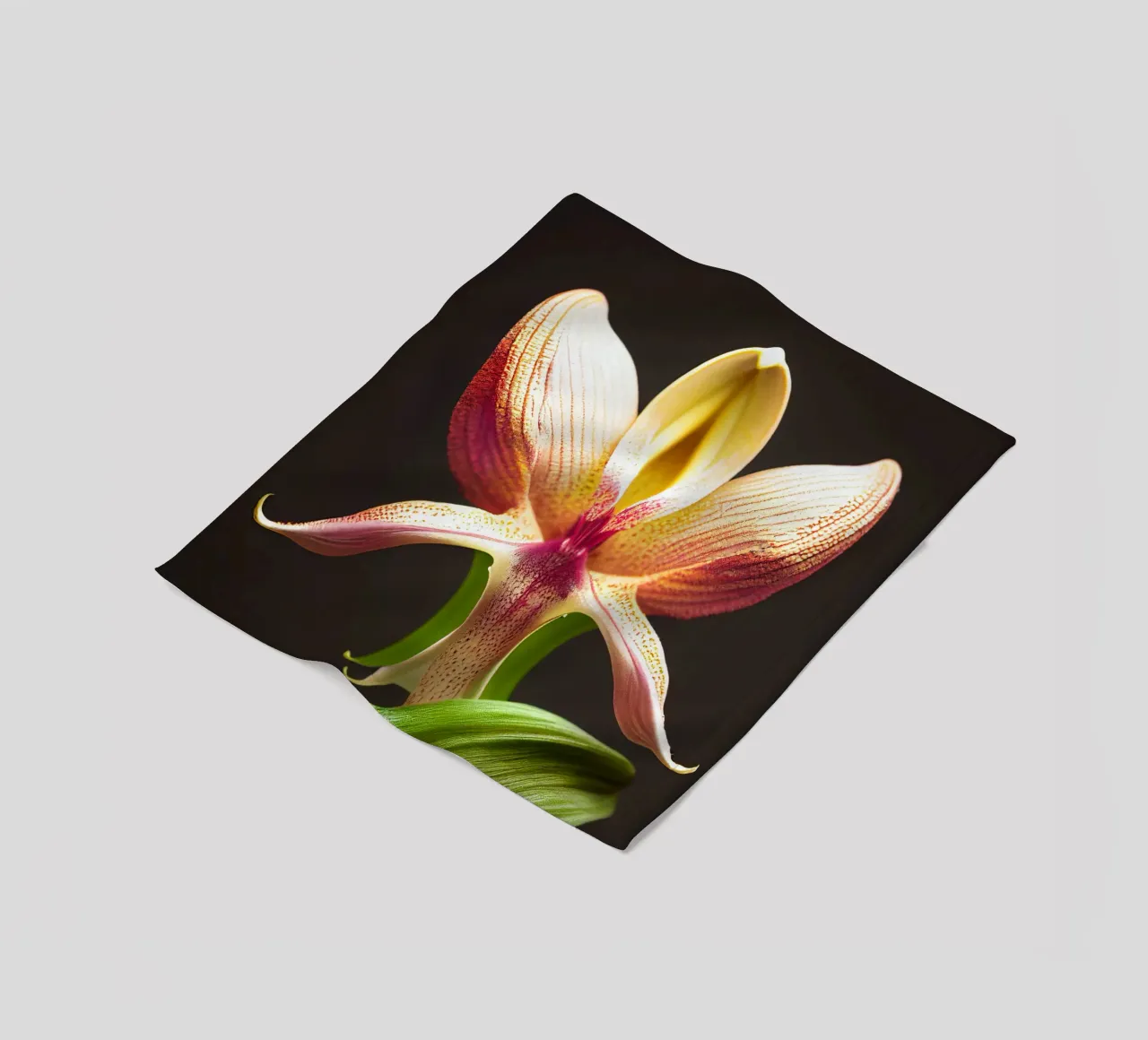 Macro fiore di orchidea Ladys Slipper coperta in pile da Bold Blooms