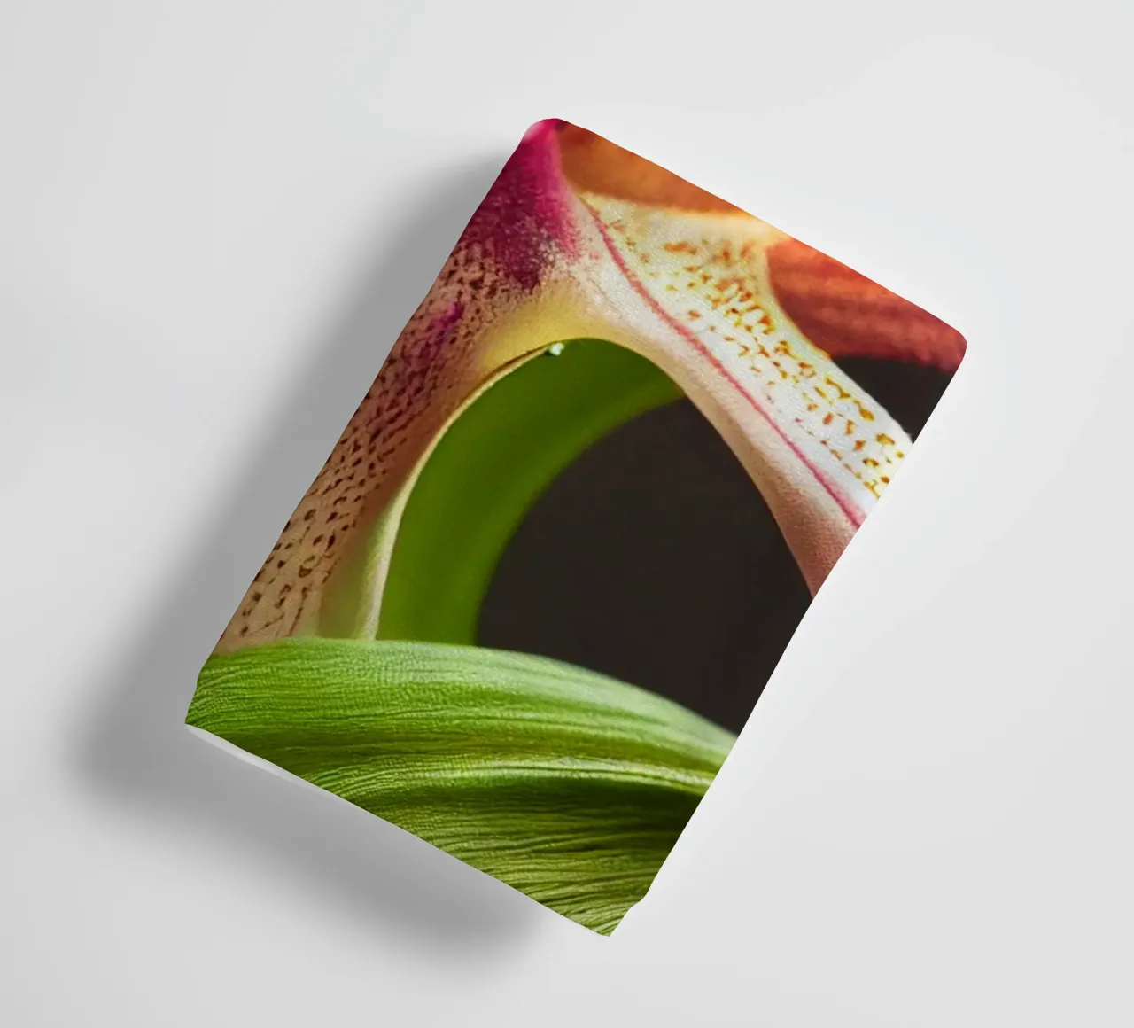 Macro fiore di orchidea Ladys Slipper asciugamano da bagno da Bold Blooms