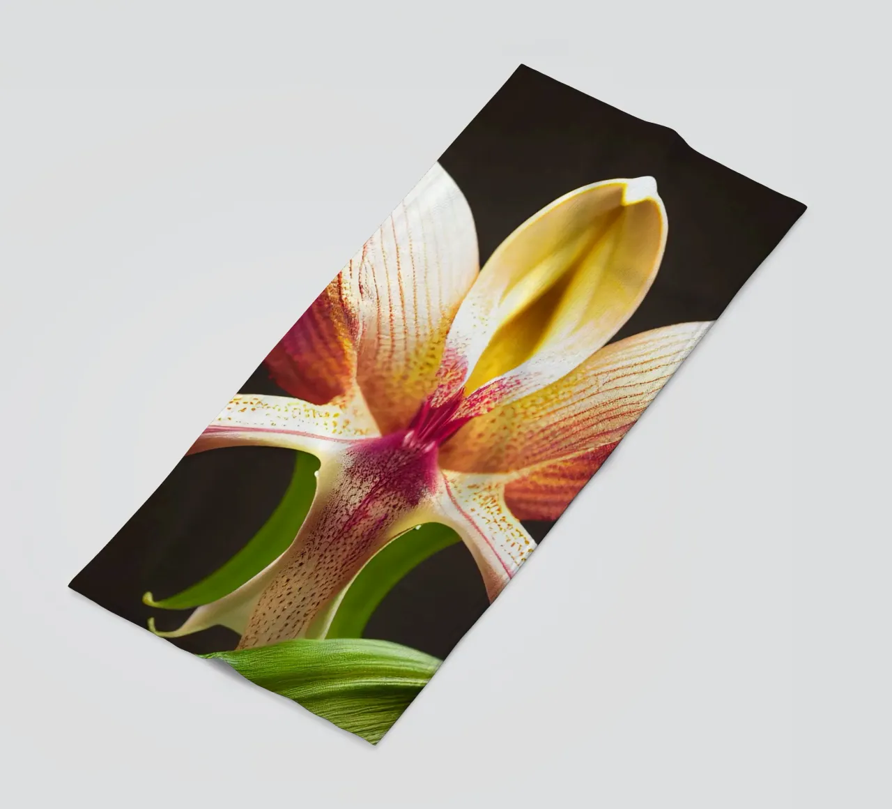 Macro fiore di orchidea Ladys Slipper telo mare da Bold Blooms