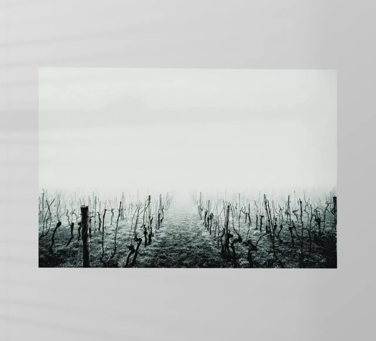 Forever pellicola backlit da Ingrid Beddoes