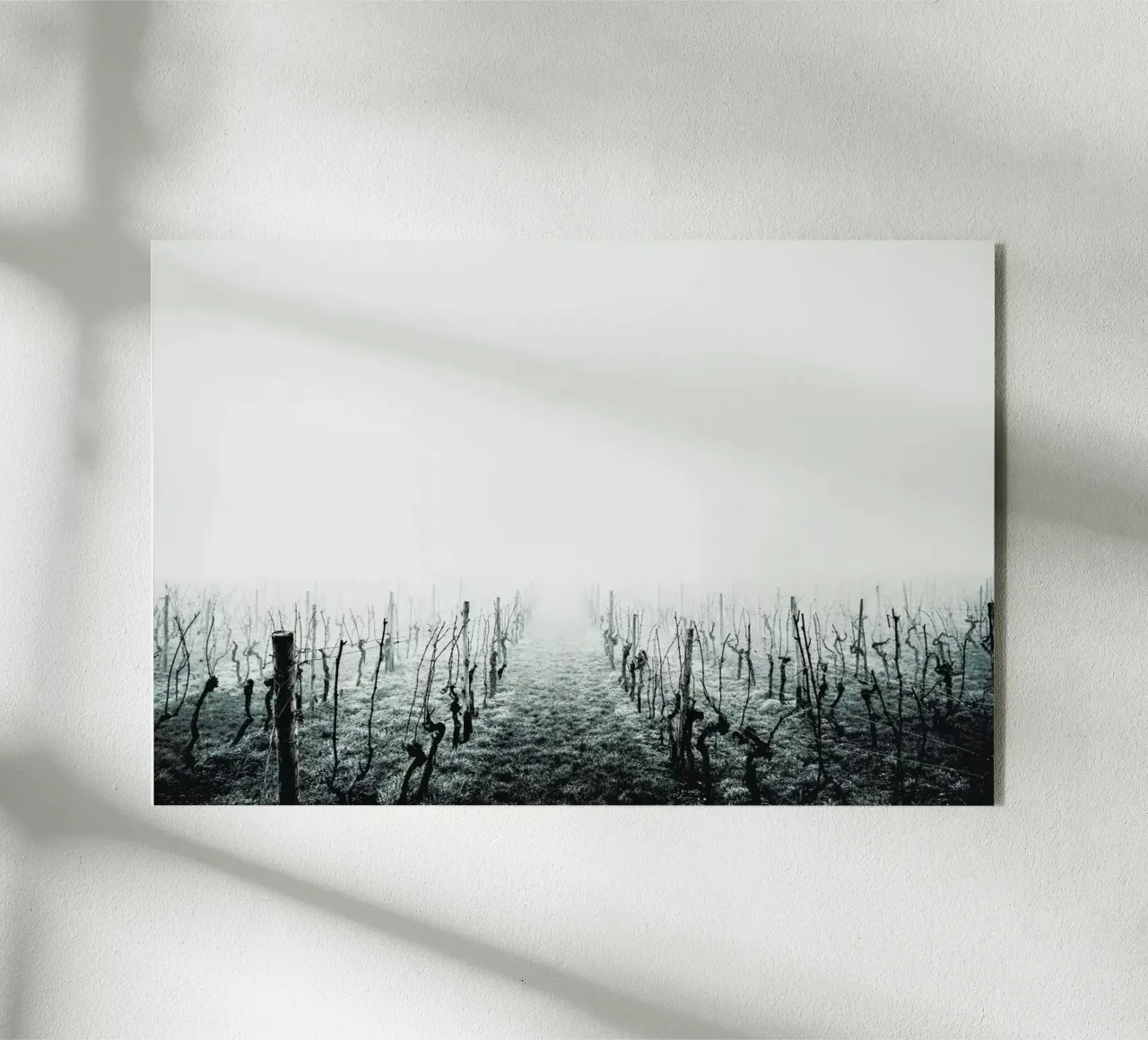 Forever plexiglass da Ingrid Beddoes