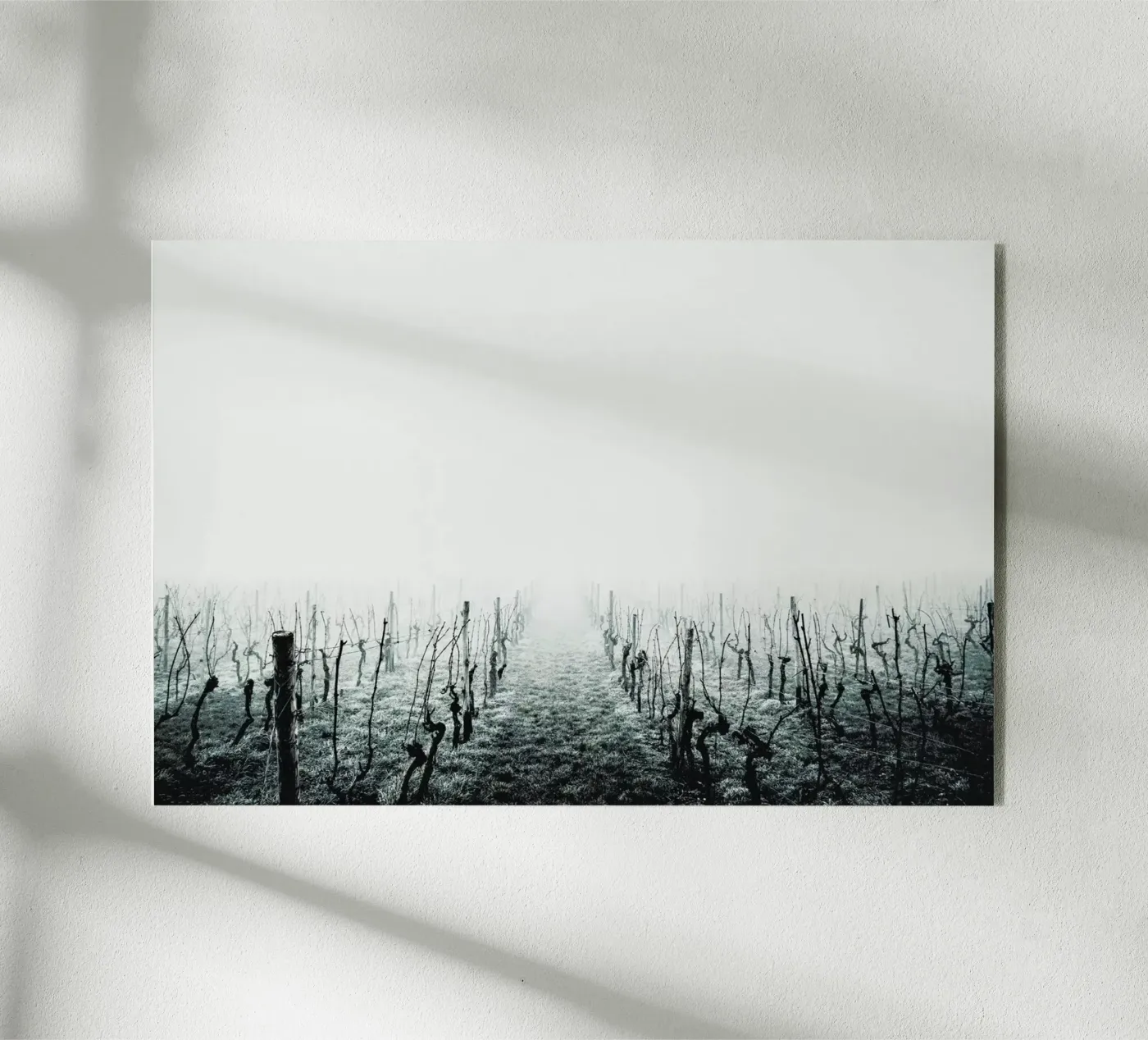 Forever plexiglas de Ingrid Beddoes