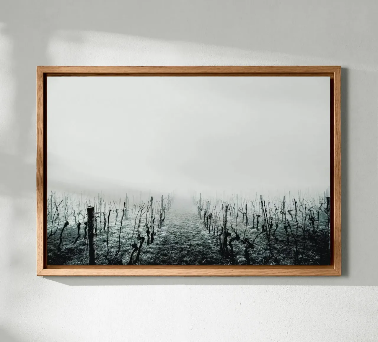 Forever forex plate by Ingrid Beddoes