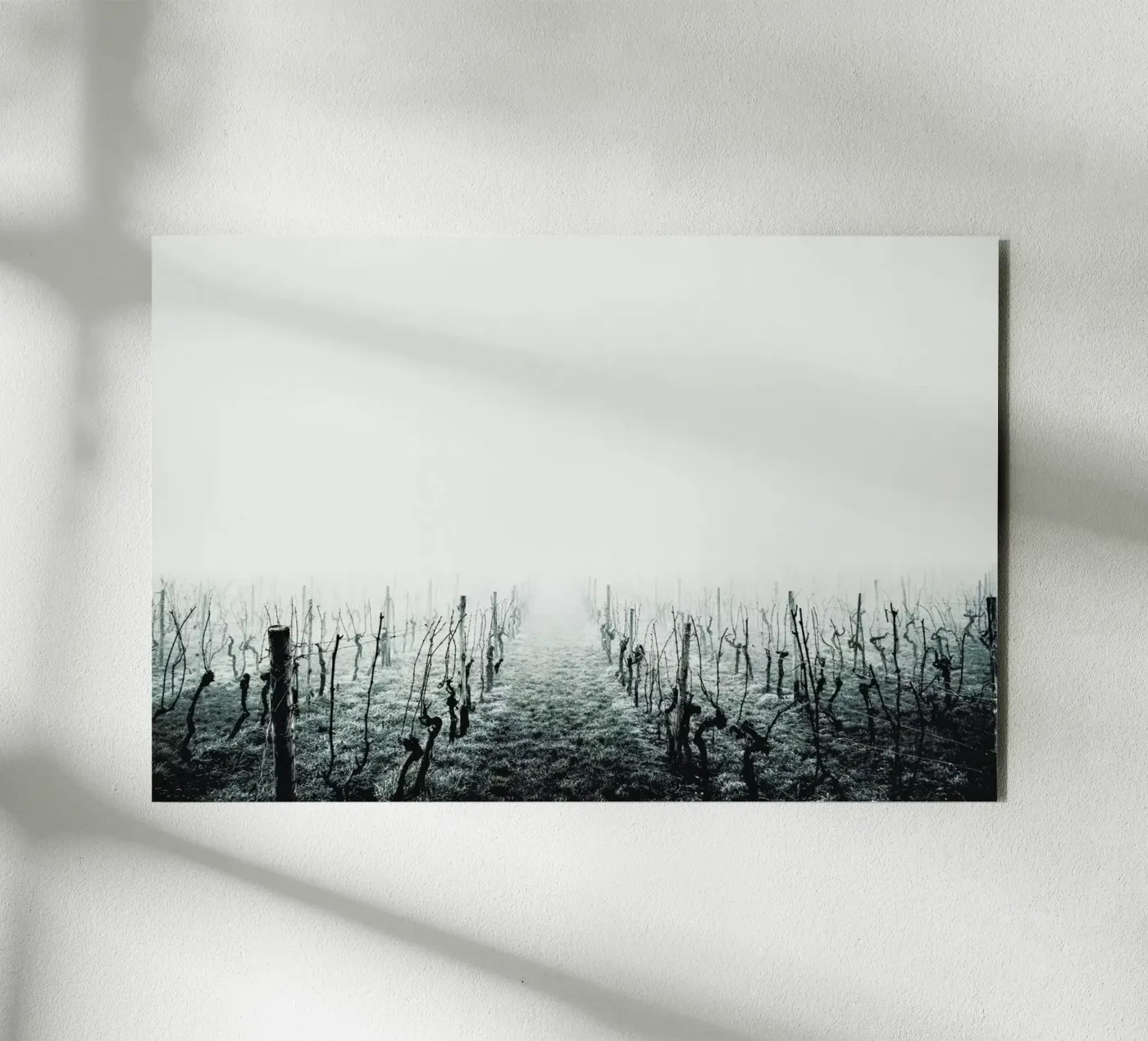 Forever panneau forex de Ingrid Beddoes