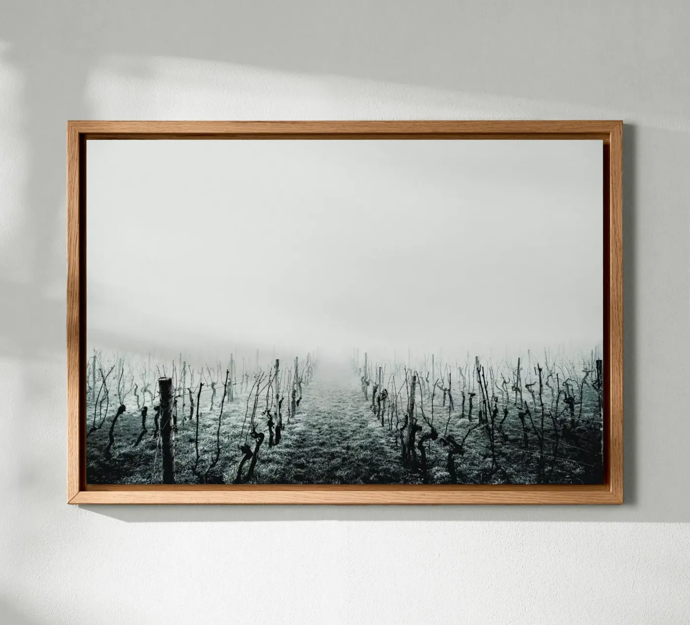 Forever canvas by Ingrid Beddoes