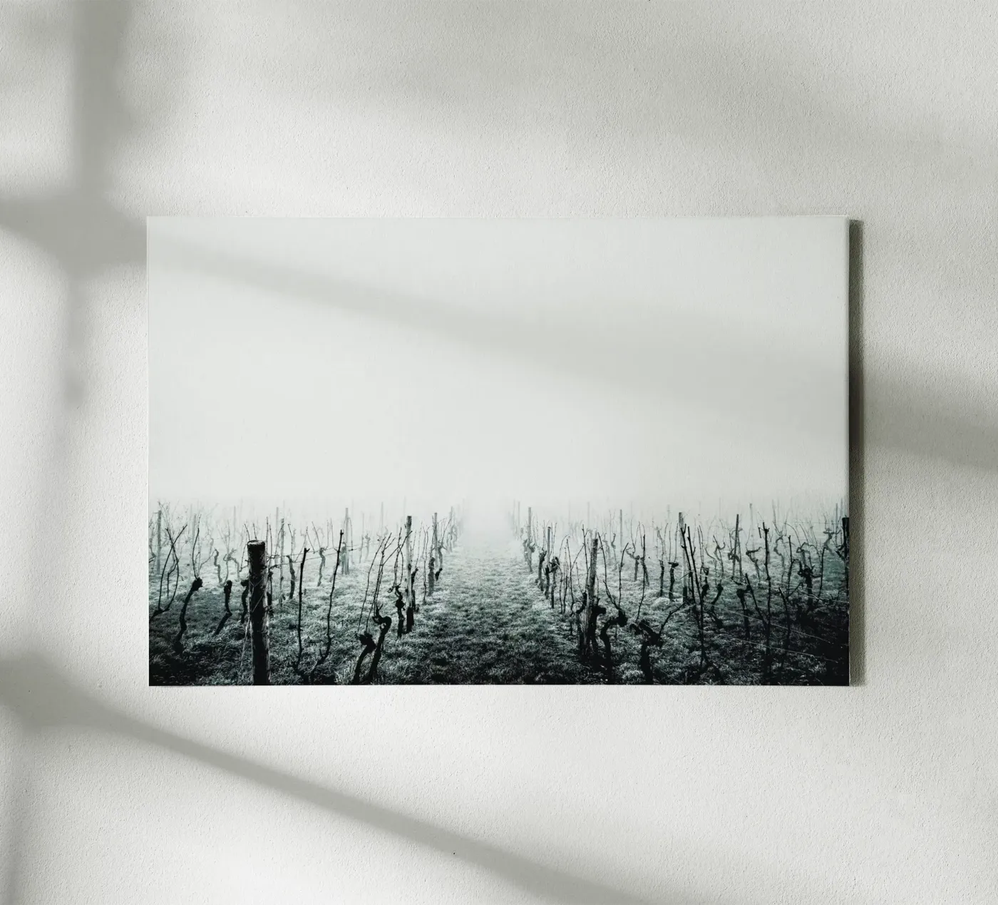 Forever canvas by Ingrid Beddoes