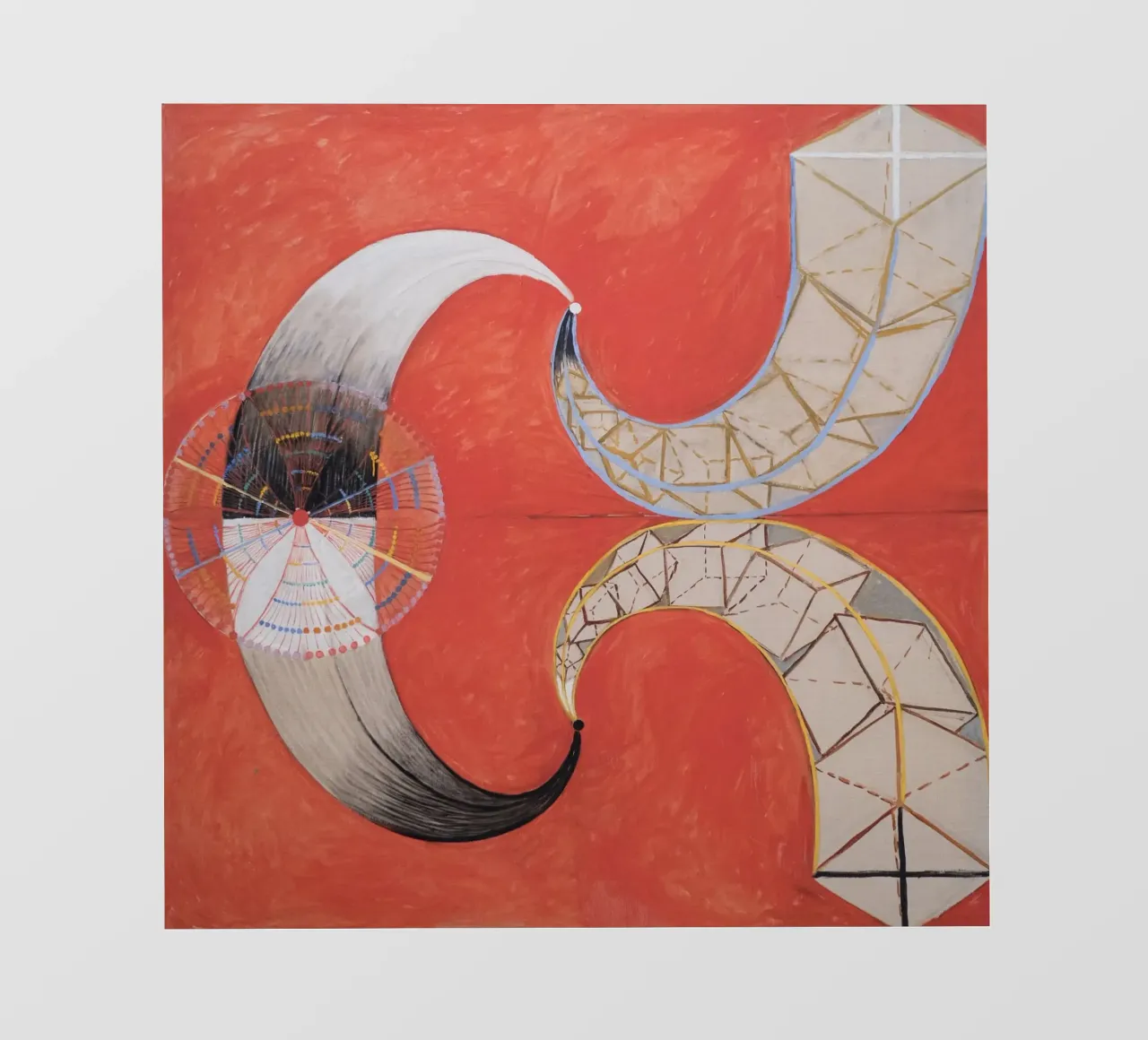 Hilma af Klint - Il Cigno, n. 09, Gruppo IX-SUW pellicola backlit da William Store