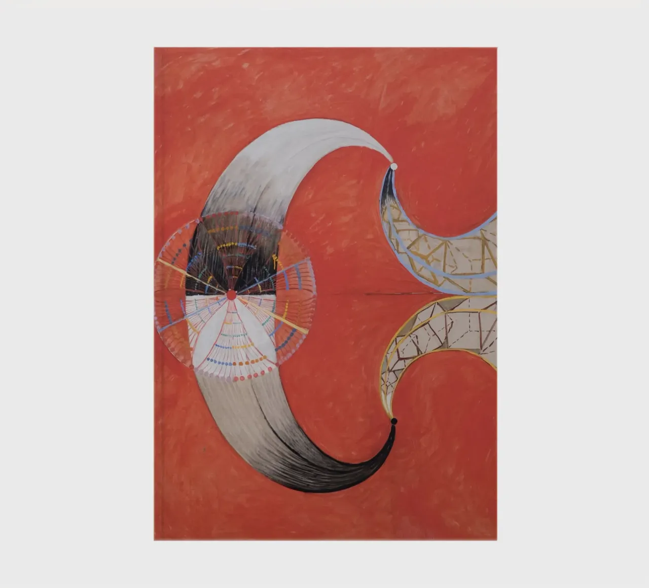 Hilma af Klint - Il Cigno, n. 09, Gruppo IX-SUW diario da William Store
