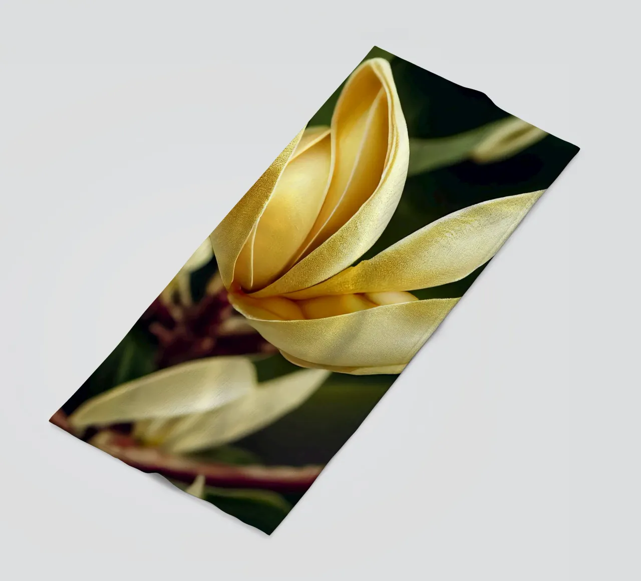 Macro Magnolia Flower telo mare da Bold Blooms