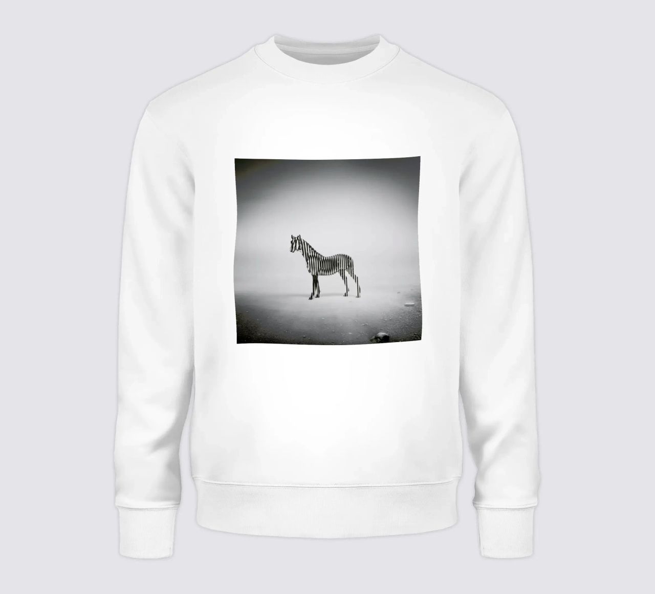 Zebra Mist sudadera de Eugene Soloviev