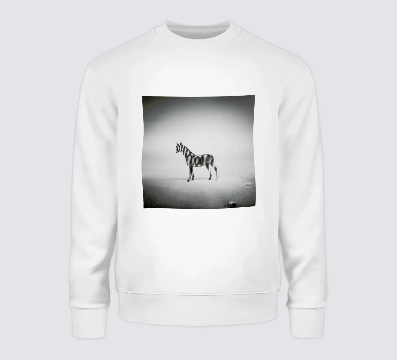 Zebra Mist felpa da Eugene Soloviev