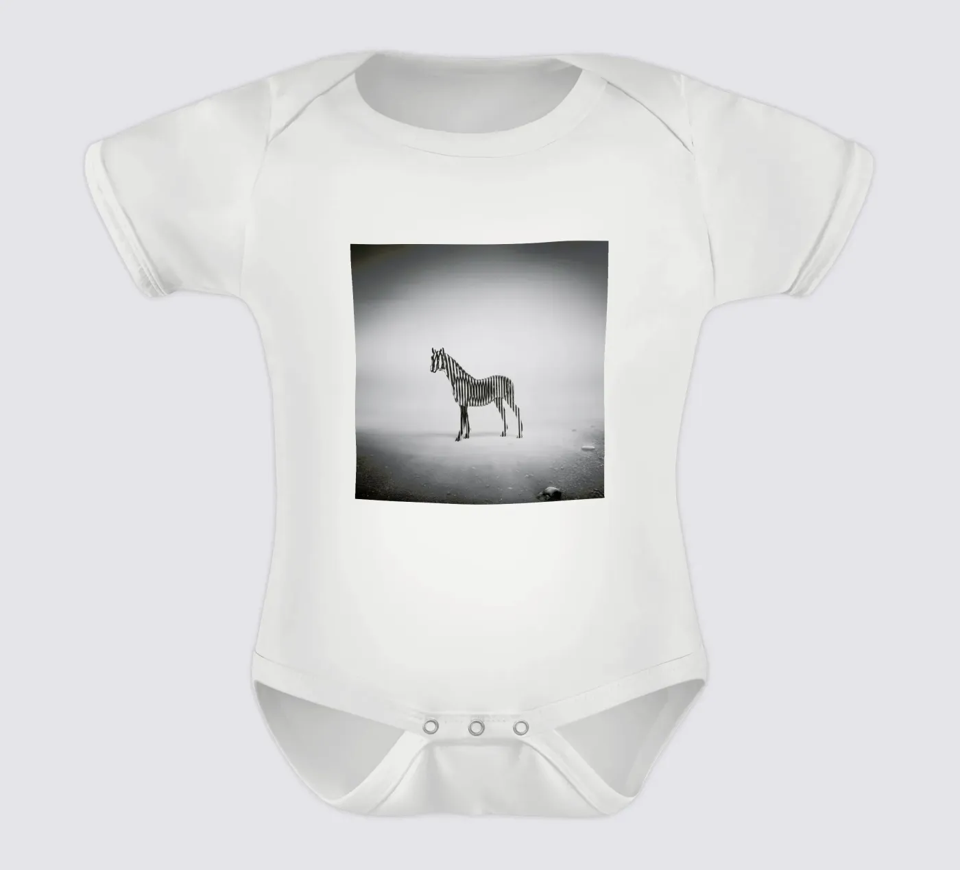 Zebra Mist body bébé de Eugene Soloviev