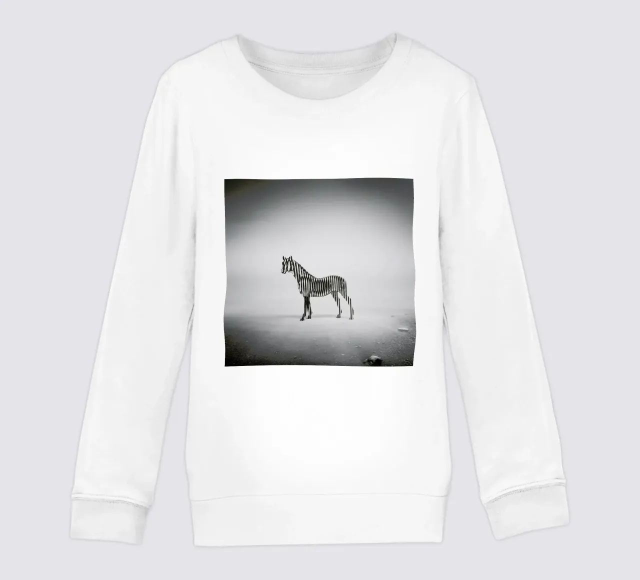 Zebra Mist felpa bambino da Eugene Soloviev