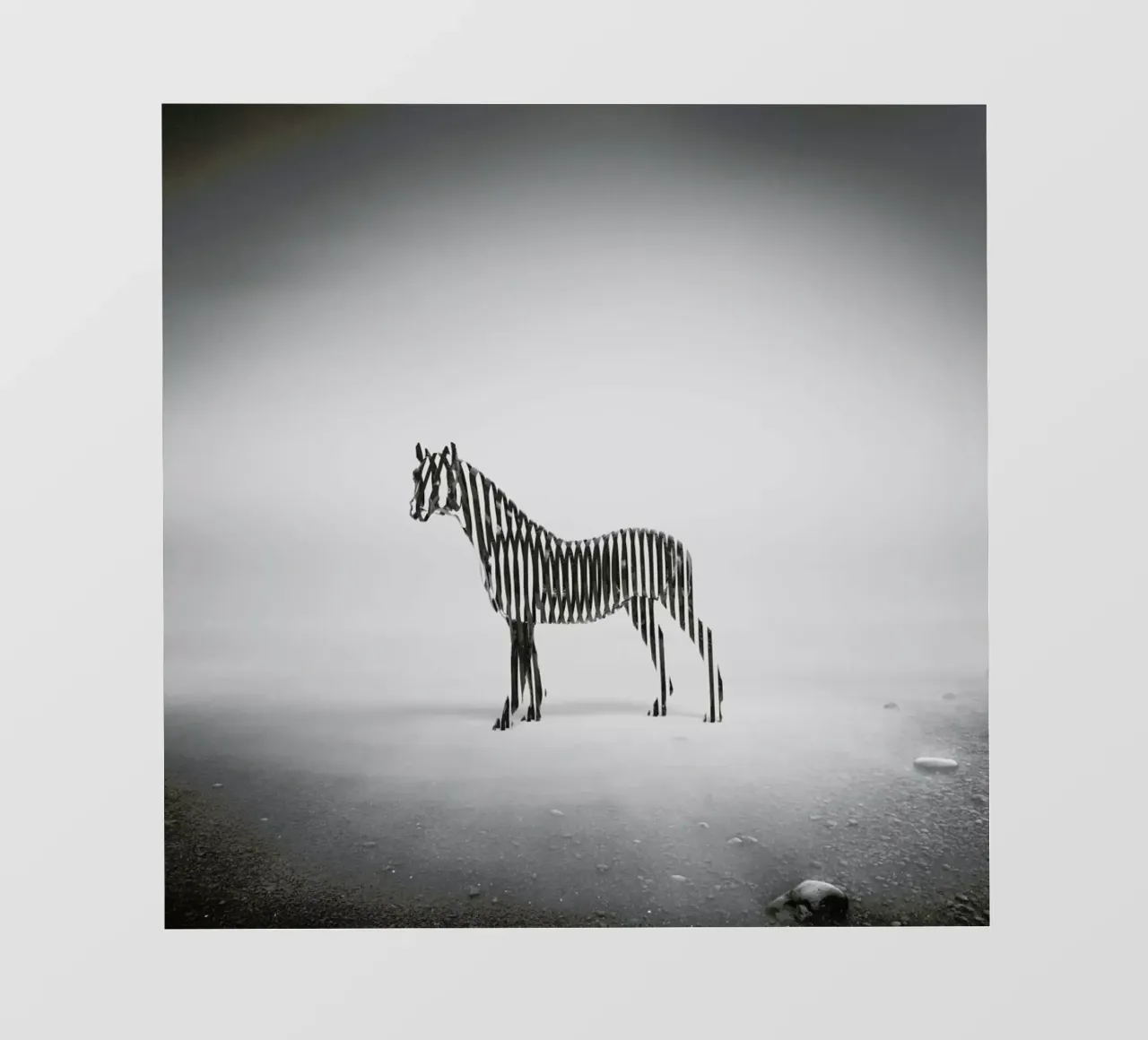 Zebra Mist telo in pvc da Eugene Soloviev