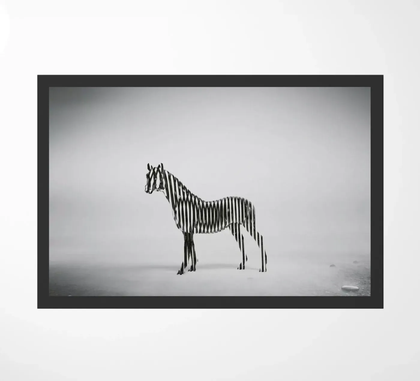Zebra Mist zerbino da Eugene Soloviev