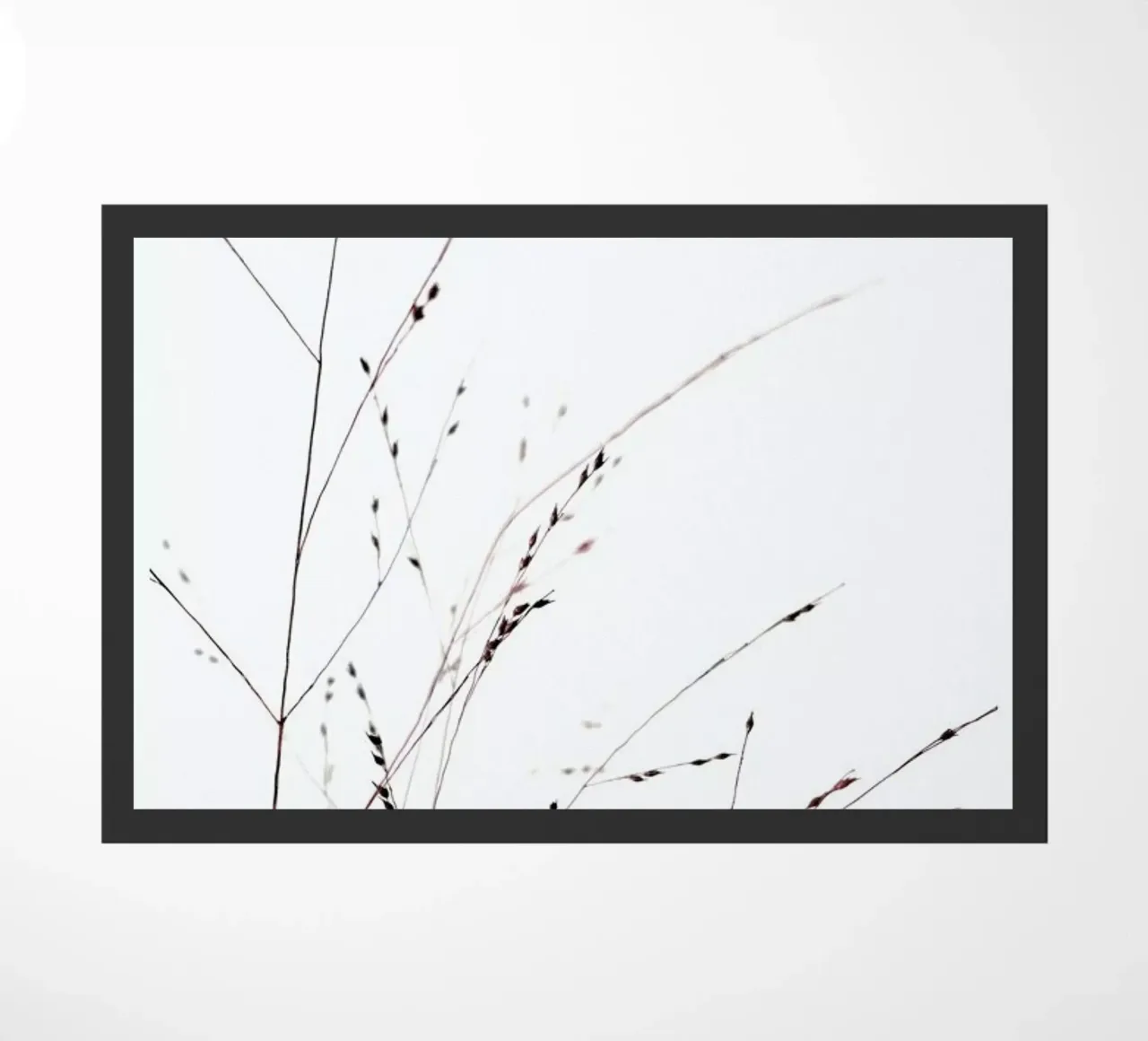 Gräser zerbino da Amy & Kurt