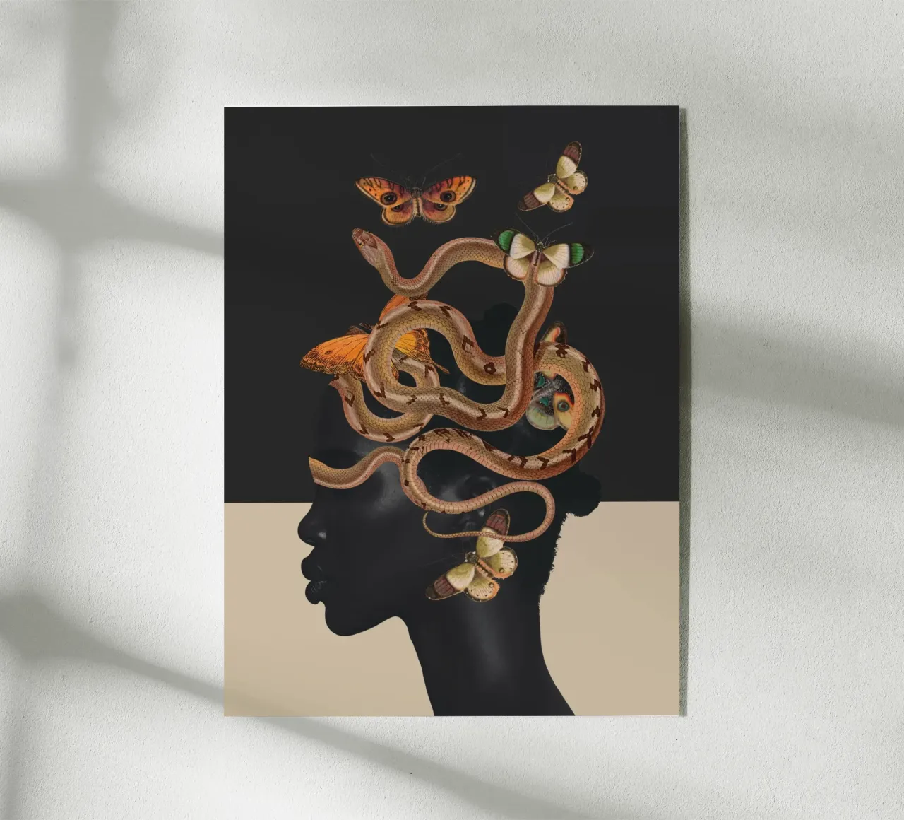 Serpente e farfalle 2 plexiglass da dada22