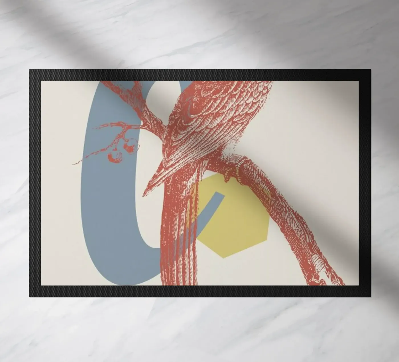 C zerbino da Froilein Juno