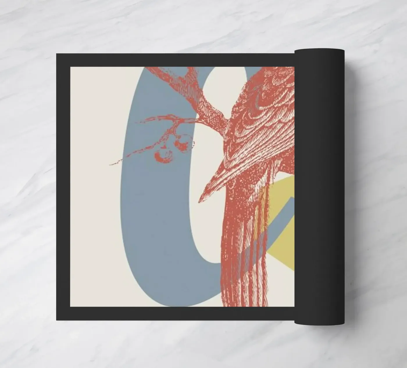 C zerbino da Froilein Juno