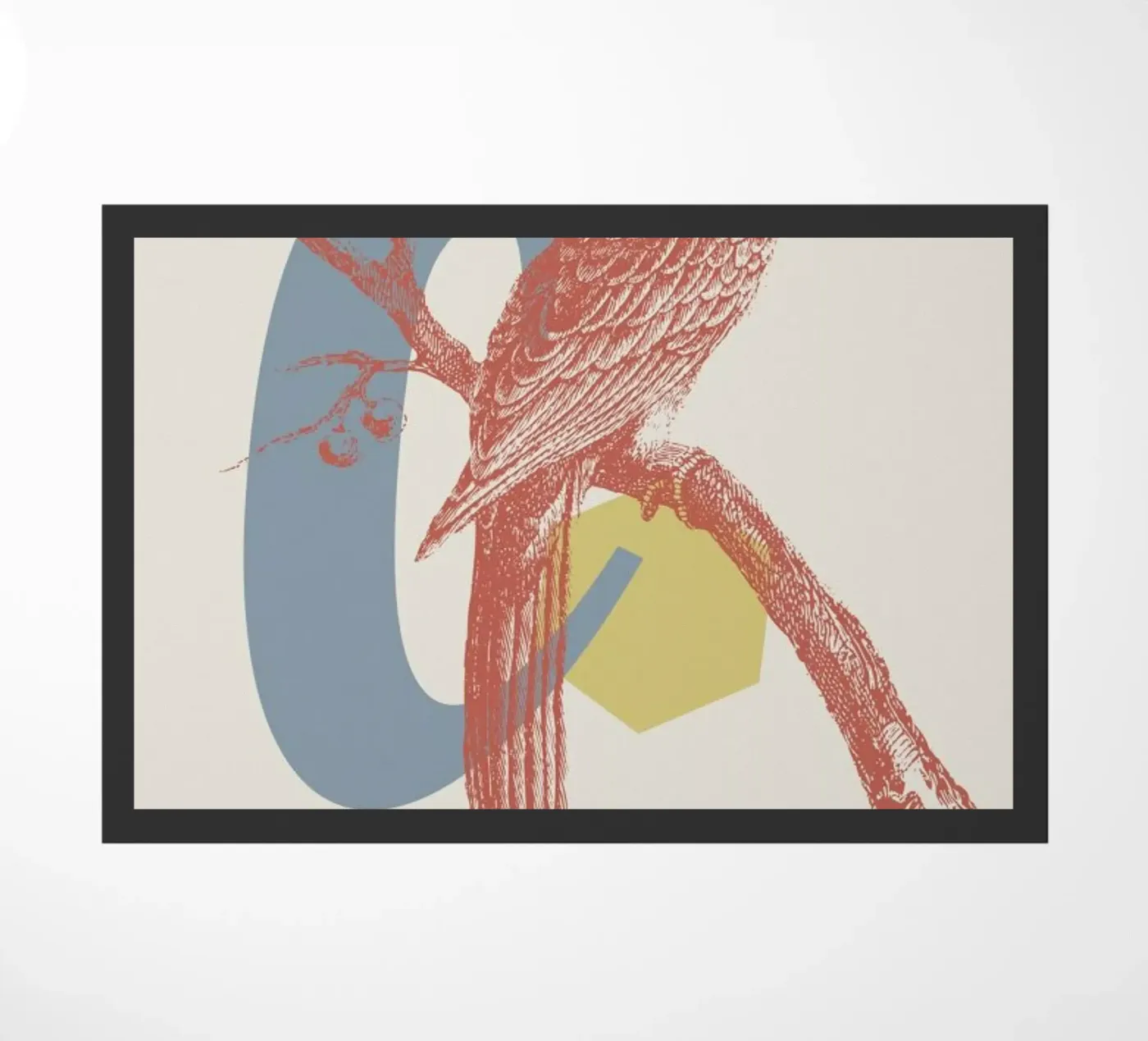 C zerbino da Froilein Juno