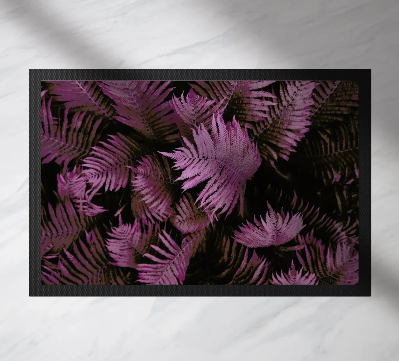 Farn 02 zerbino da Froilein Juno