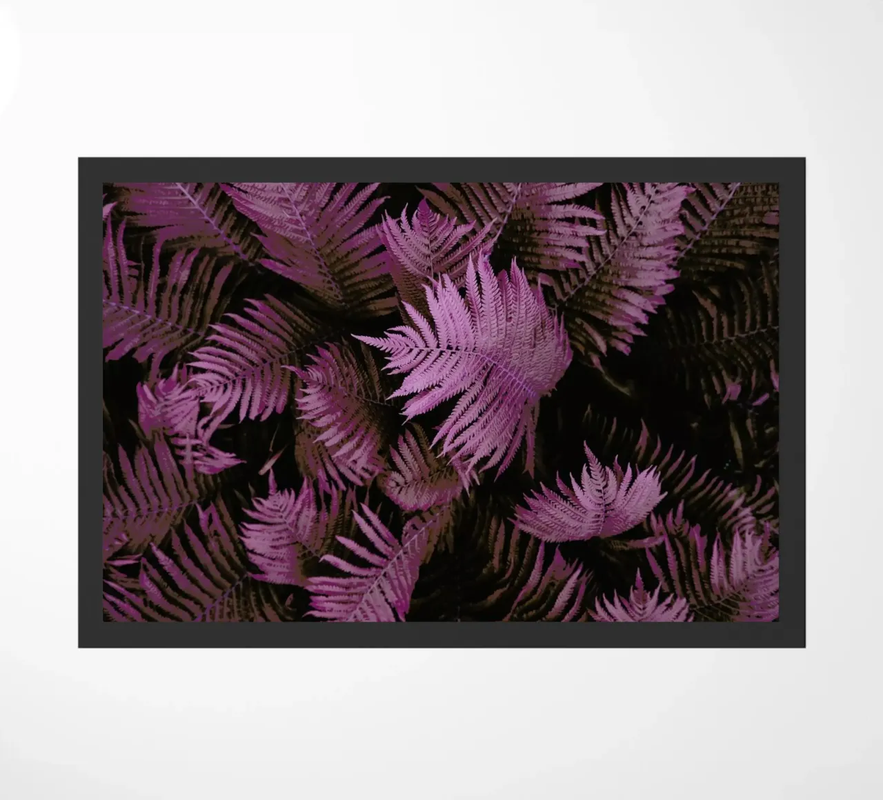 Farn 02 zerbino da Froilein Juno