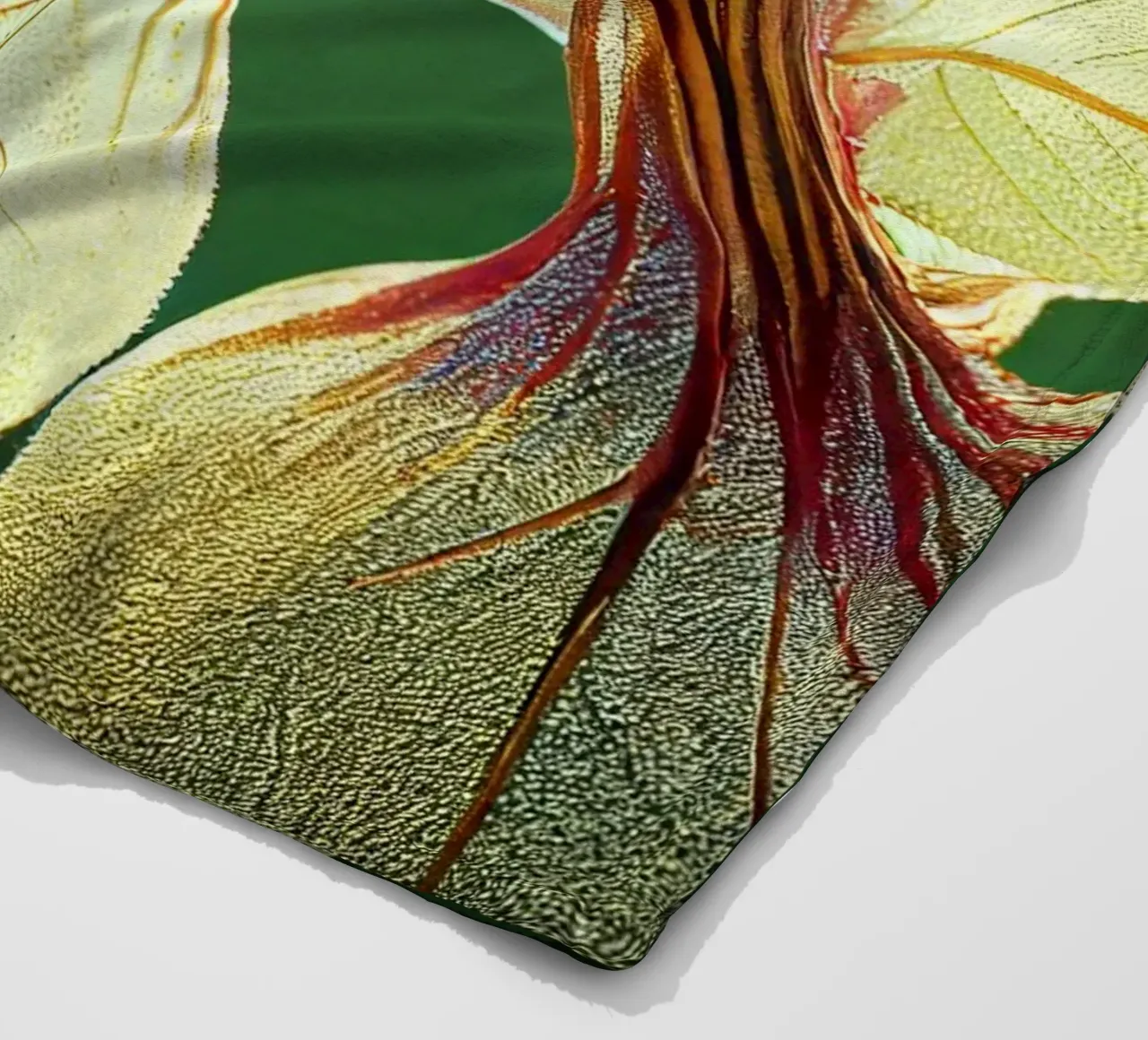 Macro Millingtonia Hortensis Fiore coperta in pile da Bold Blooms