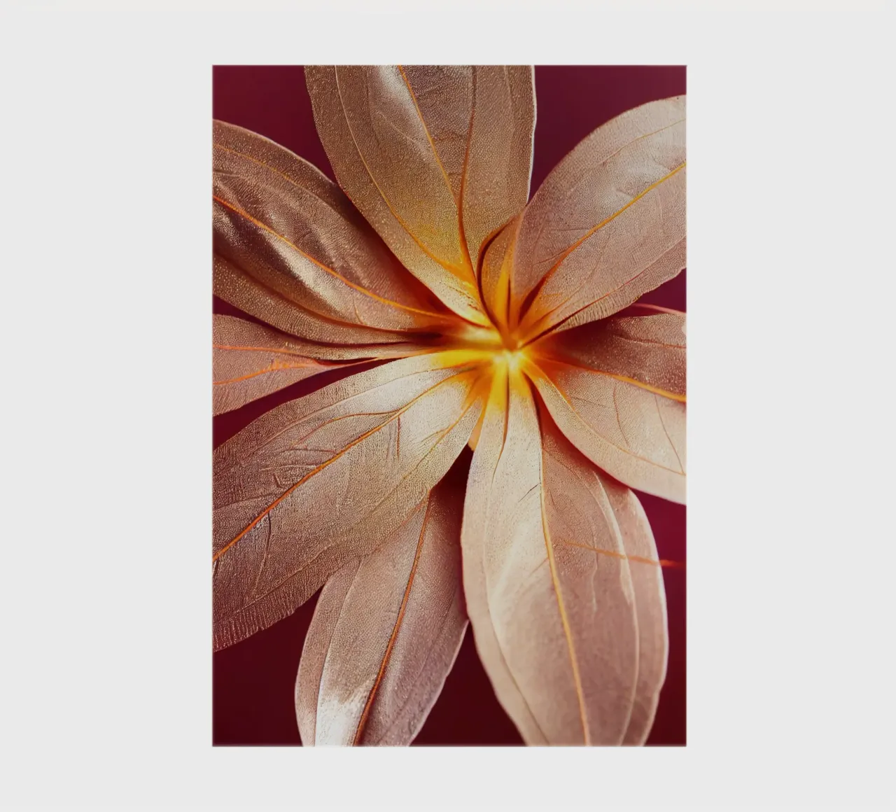 Macro Mirabilis Jalapa Fiore diario da Bold Blooms