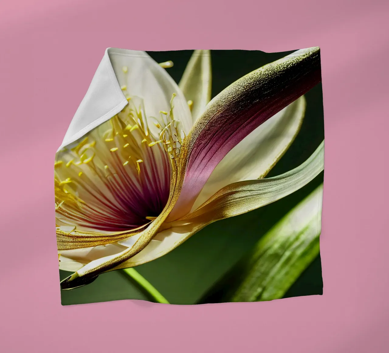 Macro fiore di giglio monsonico coperta in pile da Bold Blooms