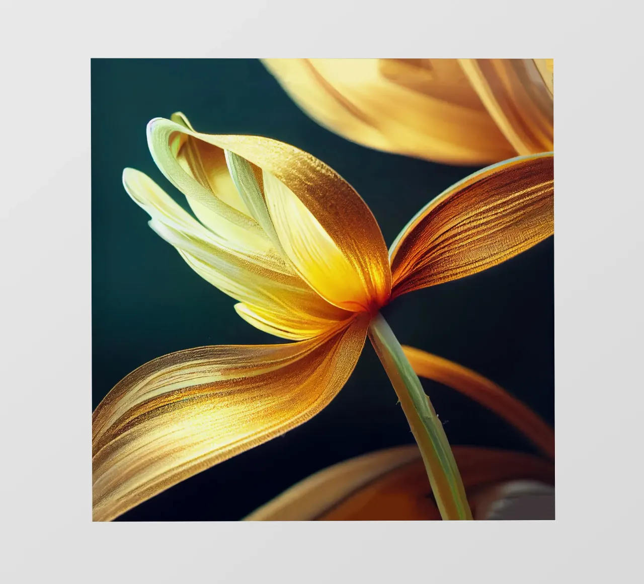 Macro fiore di narciso pellicola backlit da Bold Blooms