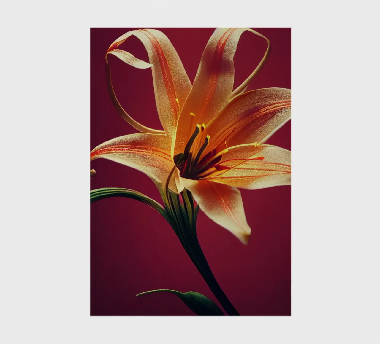 Macro Orange Tiger Lily Flower notebook by Bold Blooms