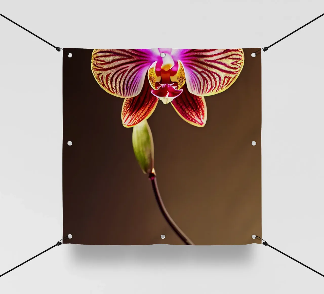 Makro Orchidee Blume PVC Plane von Bold Blooms