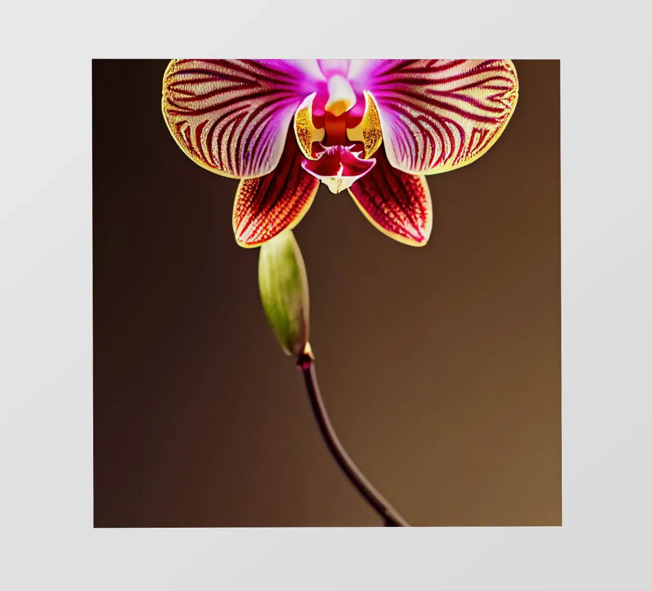 Macro fiore di orchidea telo in pvc da Bold Blooms