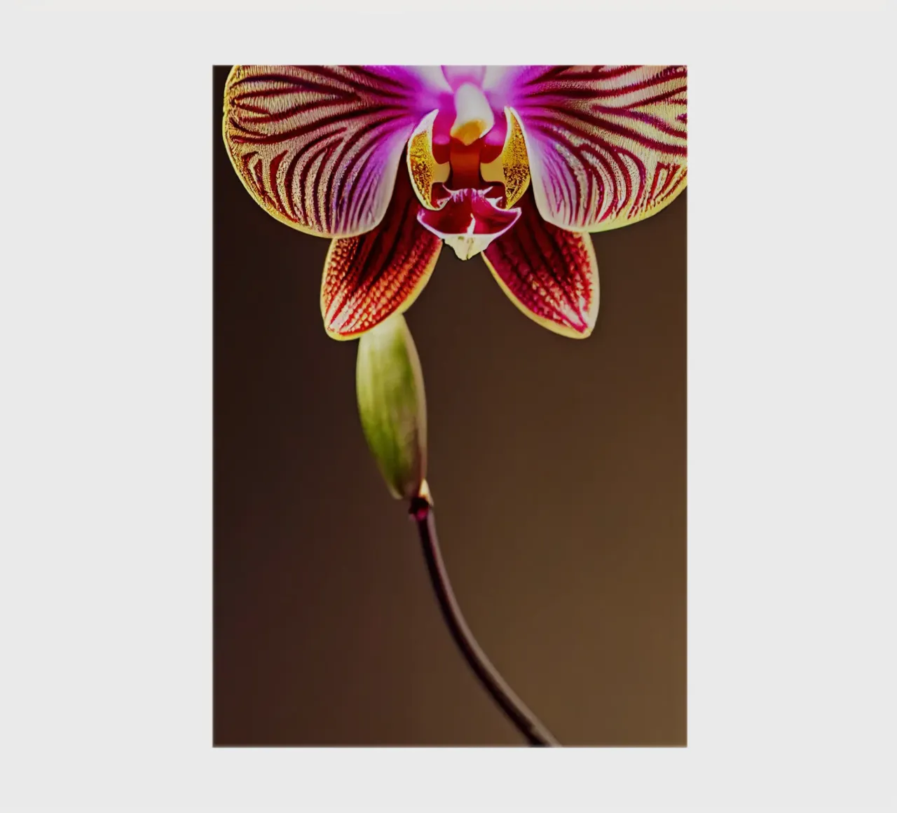 Macro Flor de orquídea cuaderno de Bold Blooms