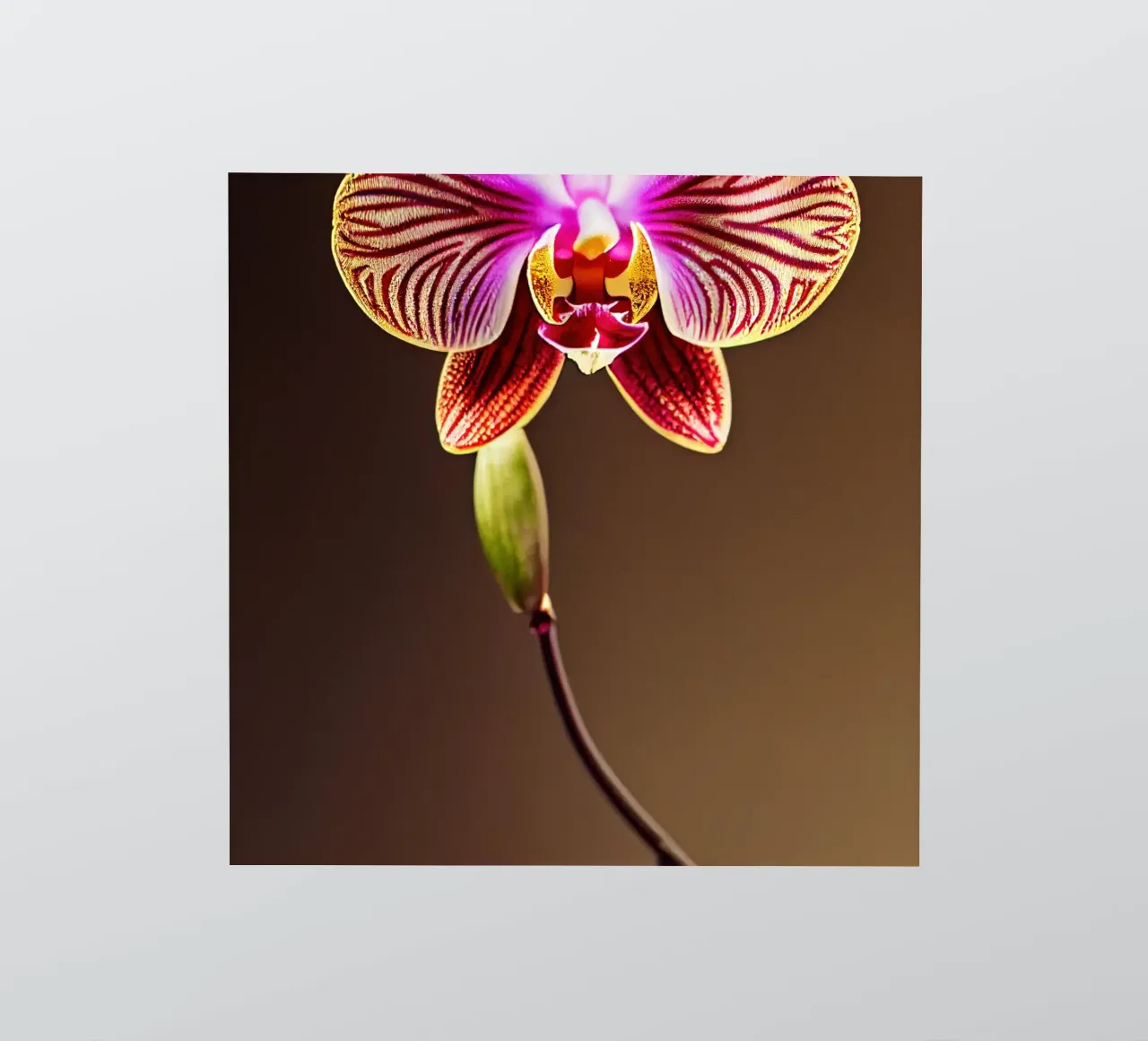 Macro fiore di orchidea adesivo da Bold Blooms