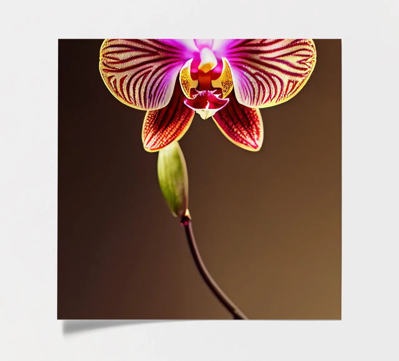 Macro fiore di orchidea foglio adesivo da Bold Blooms