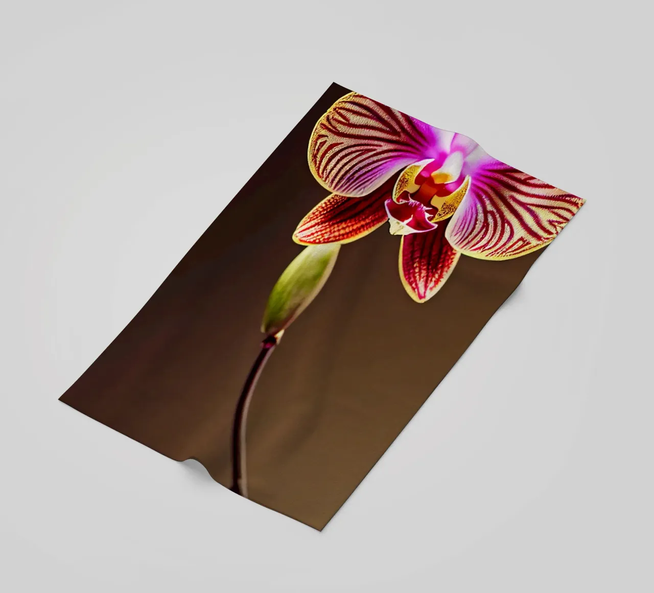 Macro fiore di orchidea telo mare da Bold Blooms