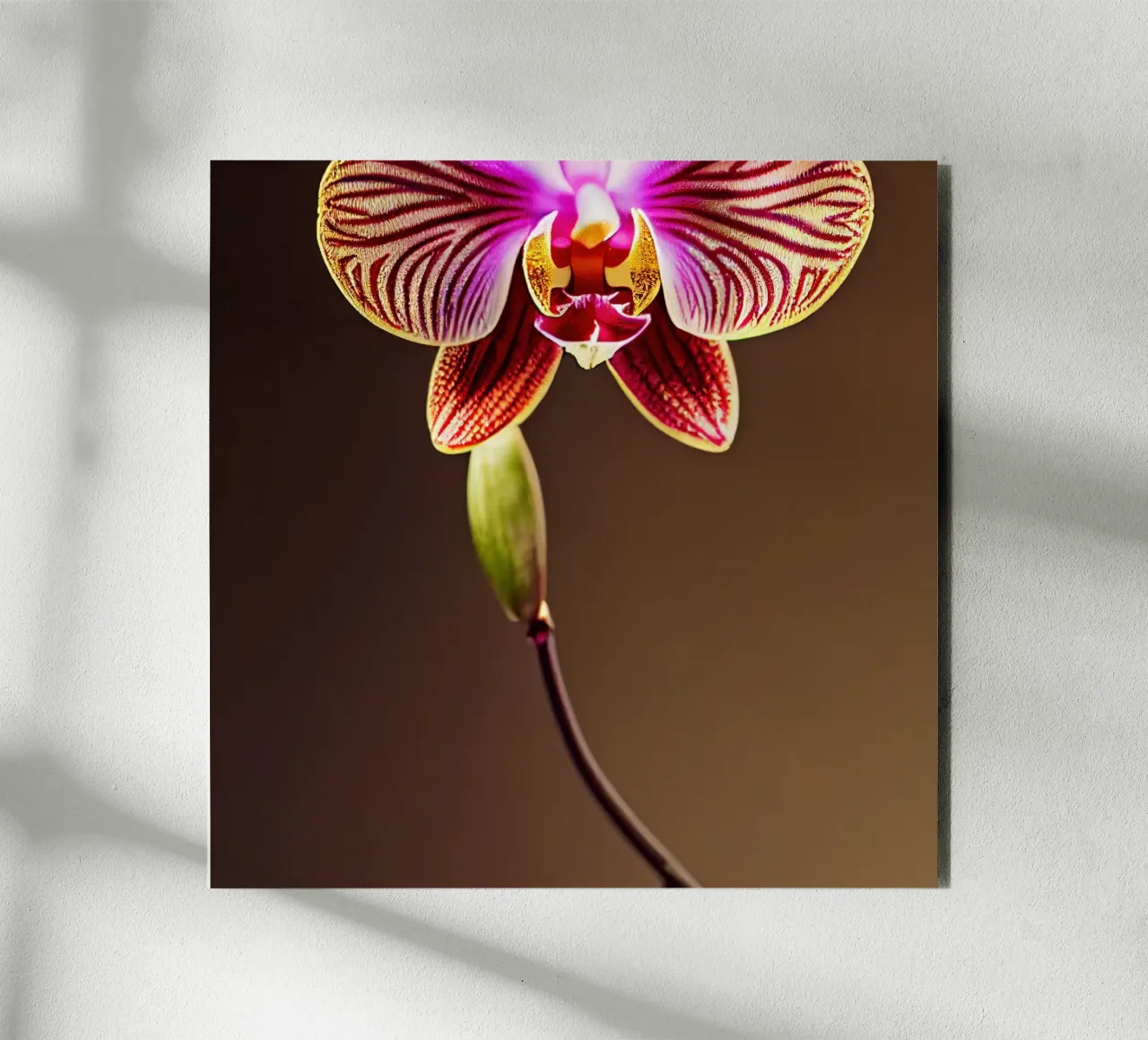 Macro fiore di orchidea alluminio dibond da Bold Blooms