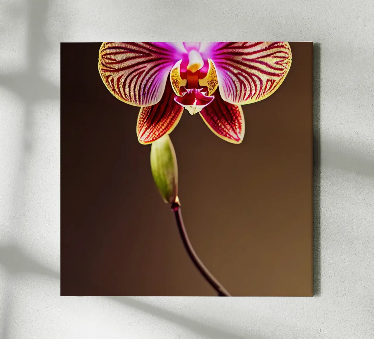 Macro Flor de orquídea lienzo de Bold Blooms