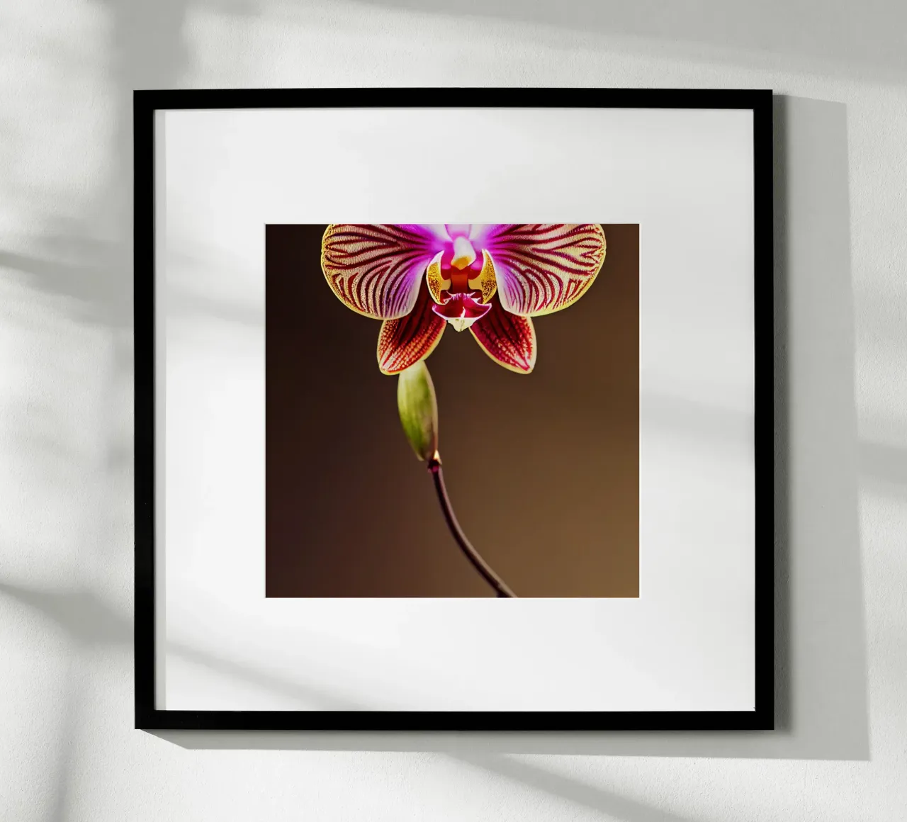 Macro fiore di orchidea poster con telaio in plastica da Bold Blooms