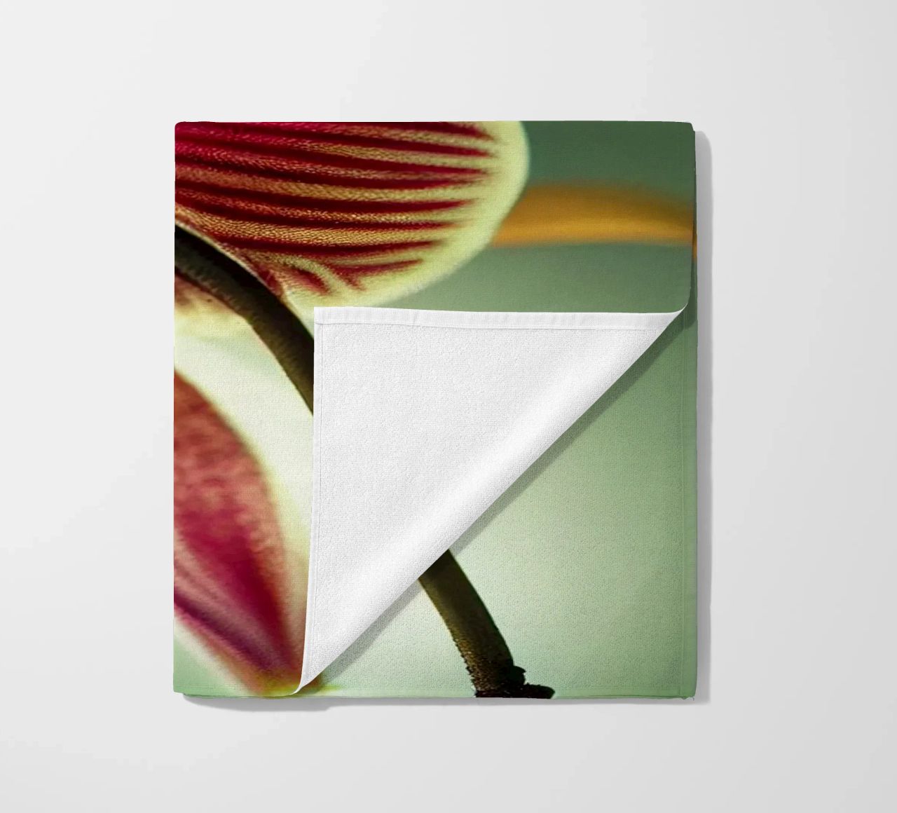 Macro fiore di orchidea telo mare da Bold Blooms