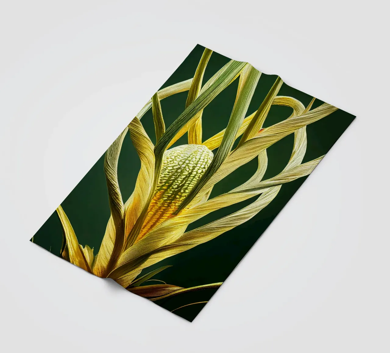 Macro fiore di pandano coperta in pile da Bold Blooms