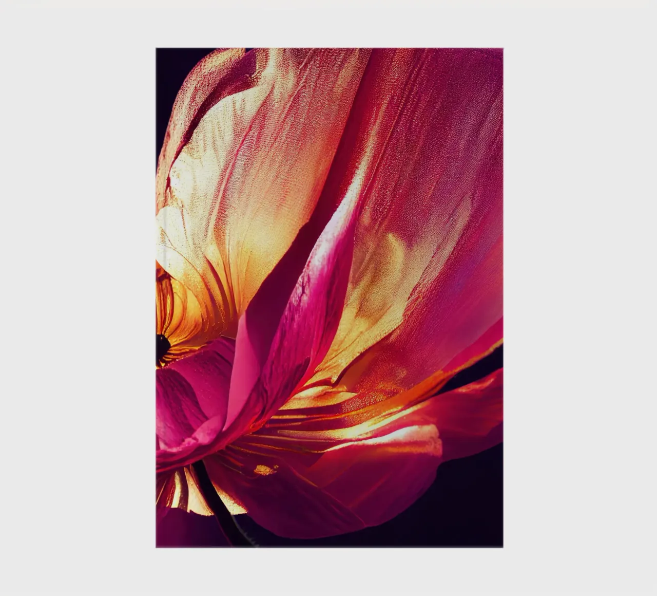 Macro fiore di papavero diario da Bold Blooms
