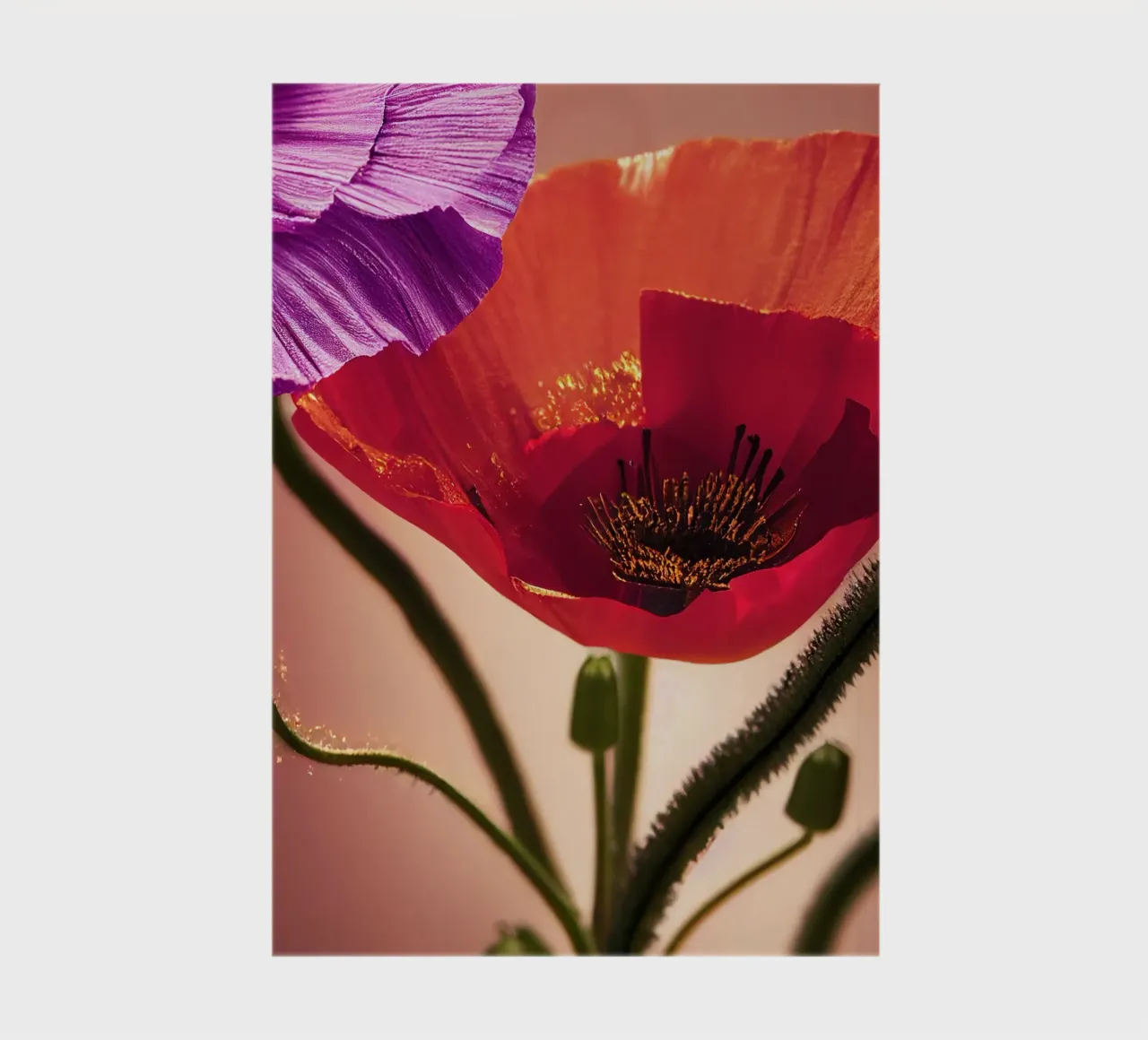 Macro fiore di papavero diario da Bold Blooms