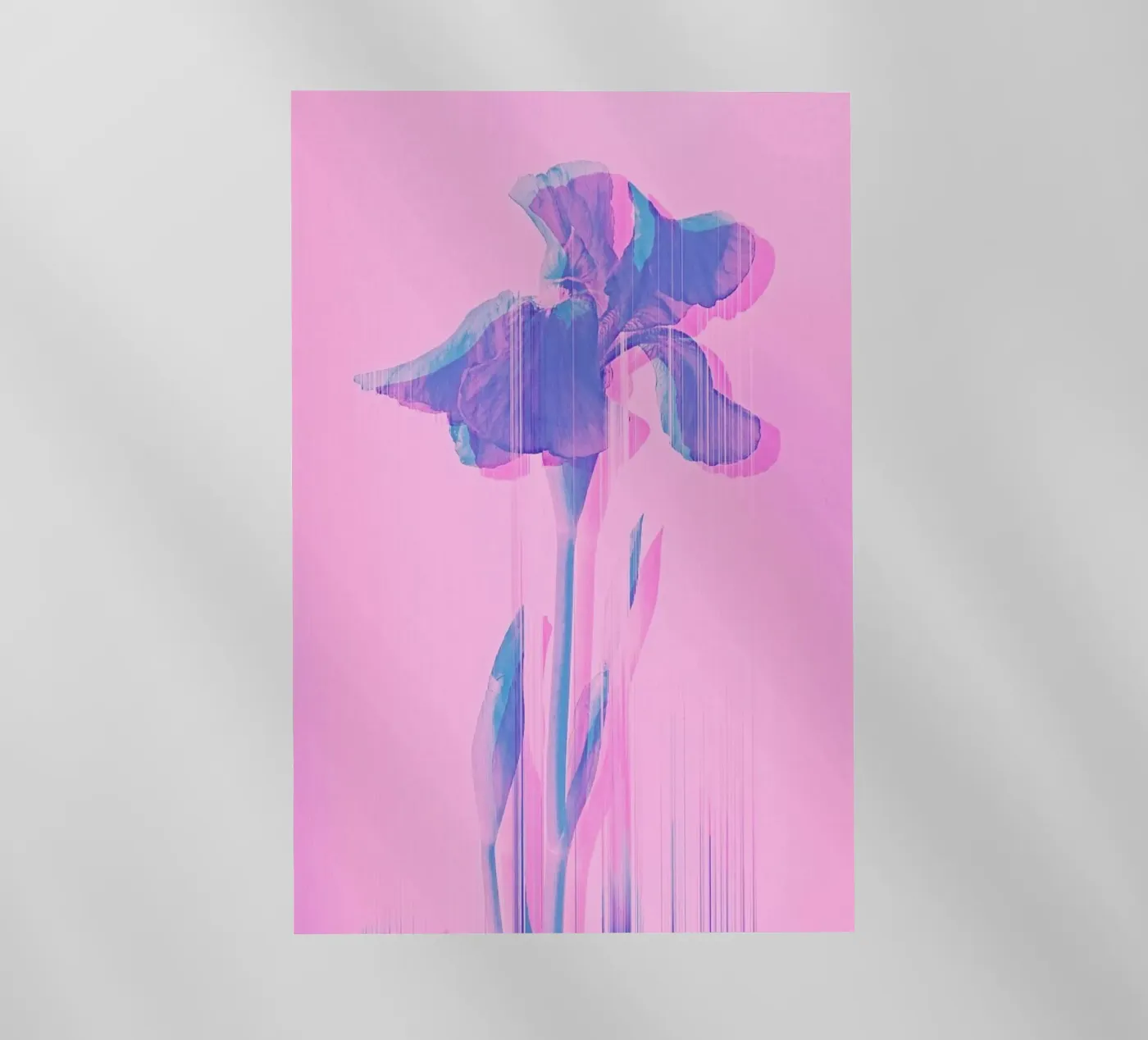 Glitcherd Iris on Pink pellicola backlit da cafelab