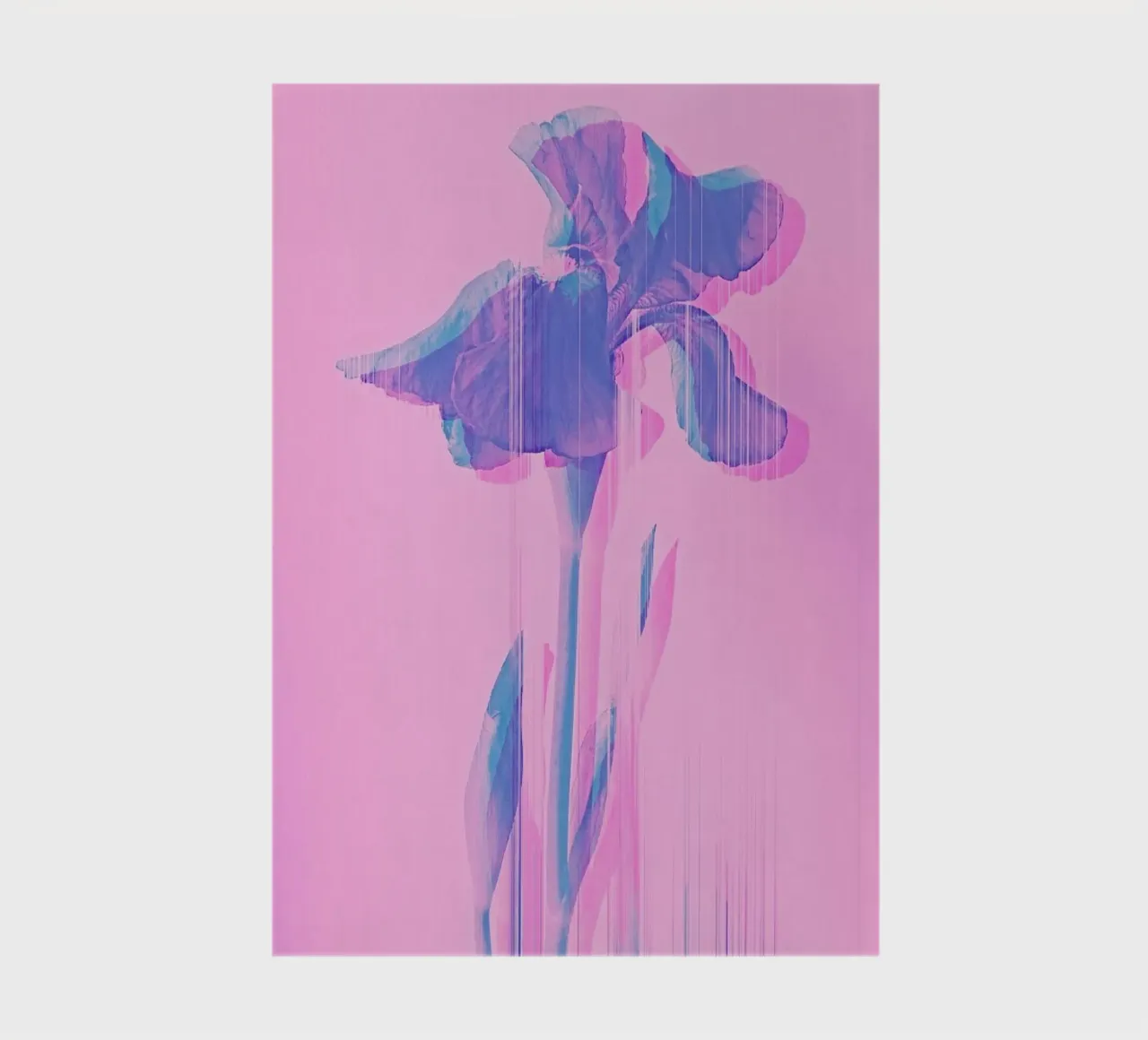 Glitcherd Iris on Pink notebook by cafelab
