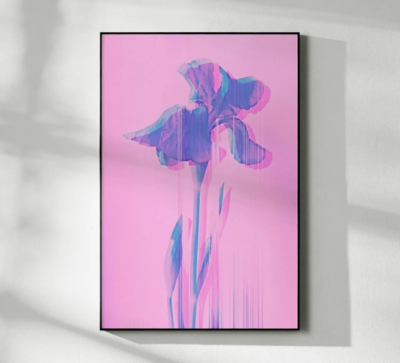 Glitcherd Iris on Pink plexiglass da cafelab